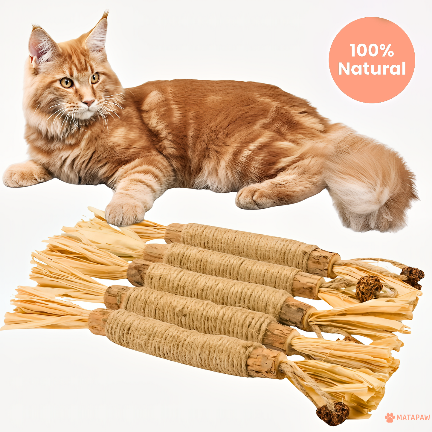 MataPaw Doğal Silvervine (Matatabi) Diş Çubukları