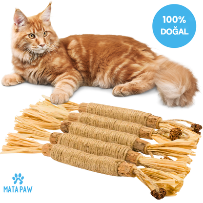 MataPaw Matatabi (Silvervine) Kedi Diş Temizleme Çubuğu
