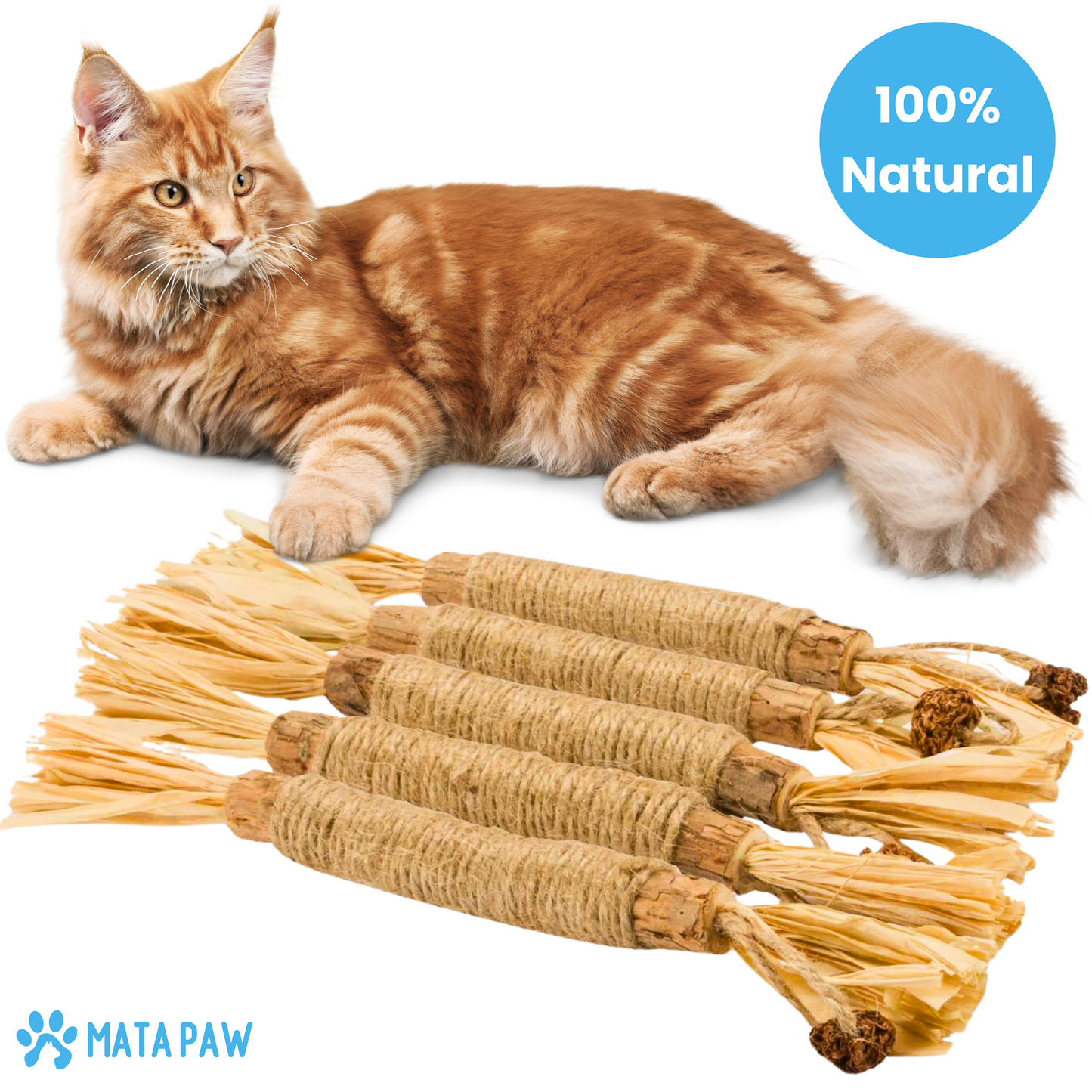 MataPaw™ Silvervine Cat Dental Chew Stick