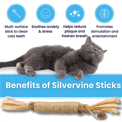 MataPaw™ Silvervine Cat Dental Chew Stick