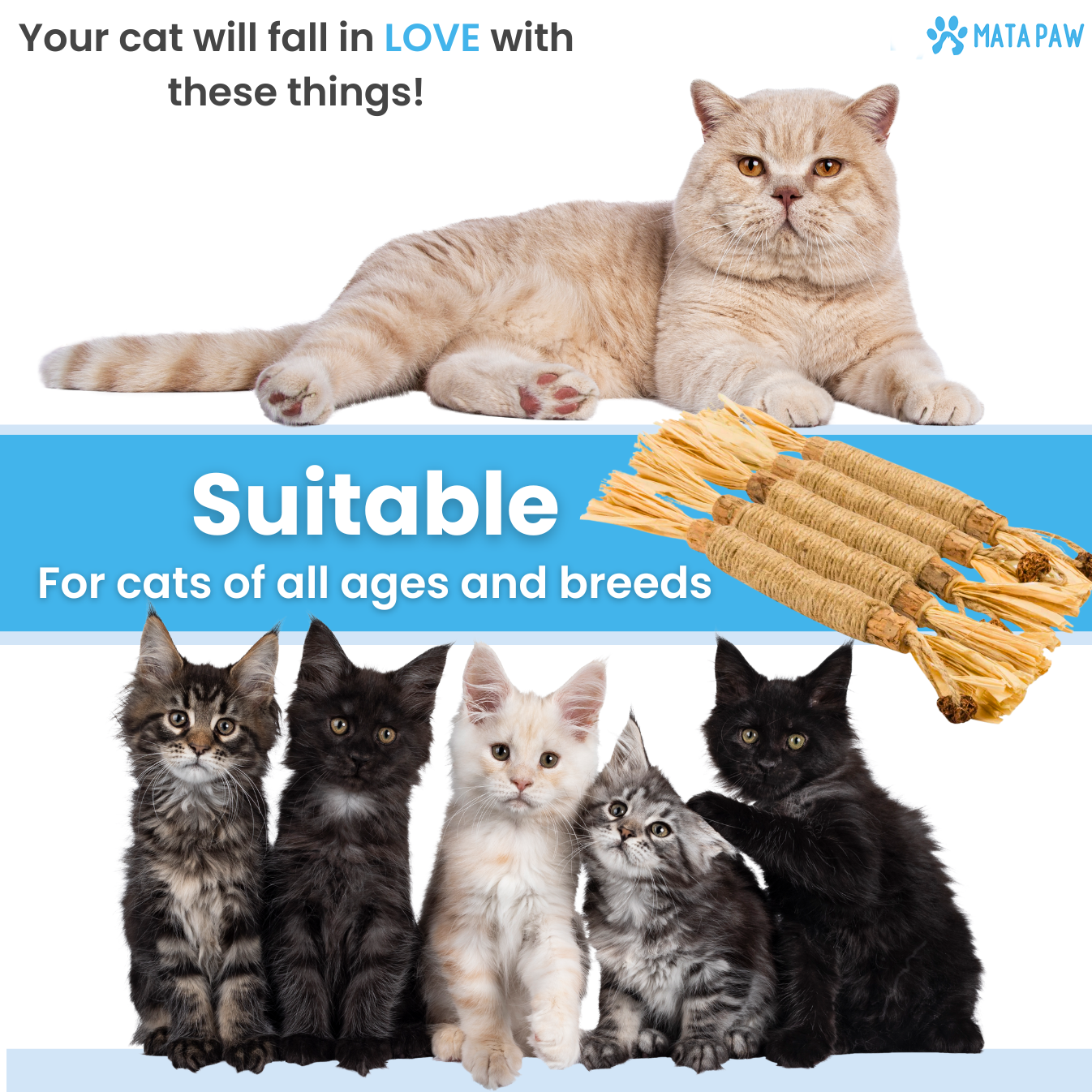 MataPaw™ Silvervine Cat Dental Chew Stick