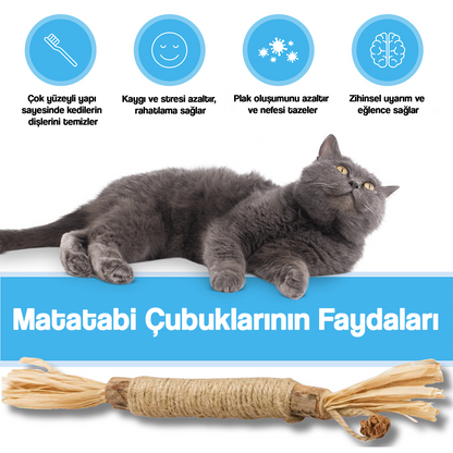 MataPaw Matatabi (Silvervine) Kedi Diş Temizleme Çubuğu