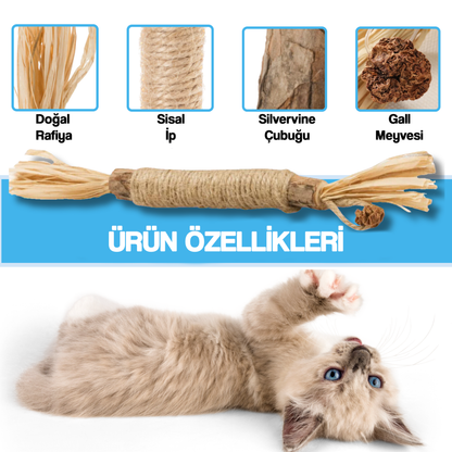 MataPaw Matatabi (Silvervine) Kedi Diş Temizleme Çubuğu