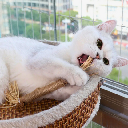 MataPaw Matatabi (Silvervine) Kedi Diş Temizleme Çubuğu